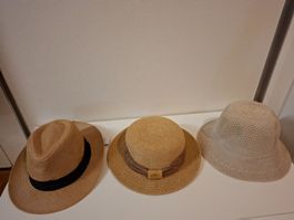 3 Sommerhüte (ungetragen)