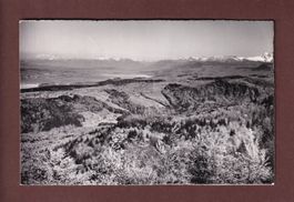 Bergrestaurant ALBISHORN - Blick gegen Zürichsee - 1957