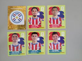FIFA Panini Paraguay (PAR)