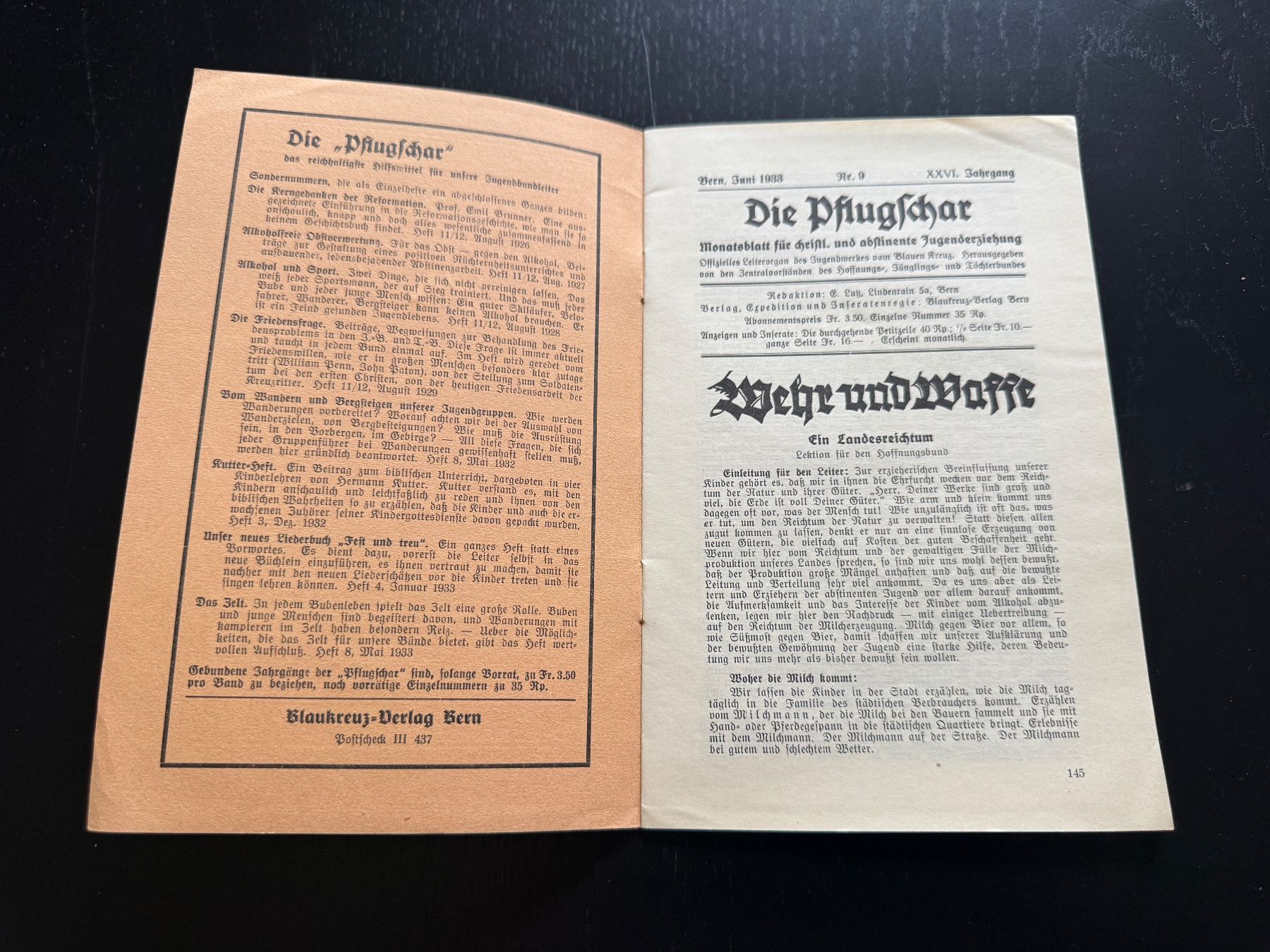 Riviste & Magazine: Monatsblatt Die Pflugschar Juni 1933 Nr 9 – Usato da Erstfeld venduto da Mario_boe0 1