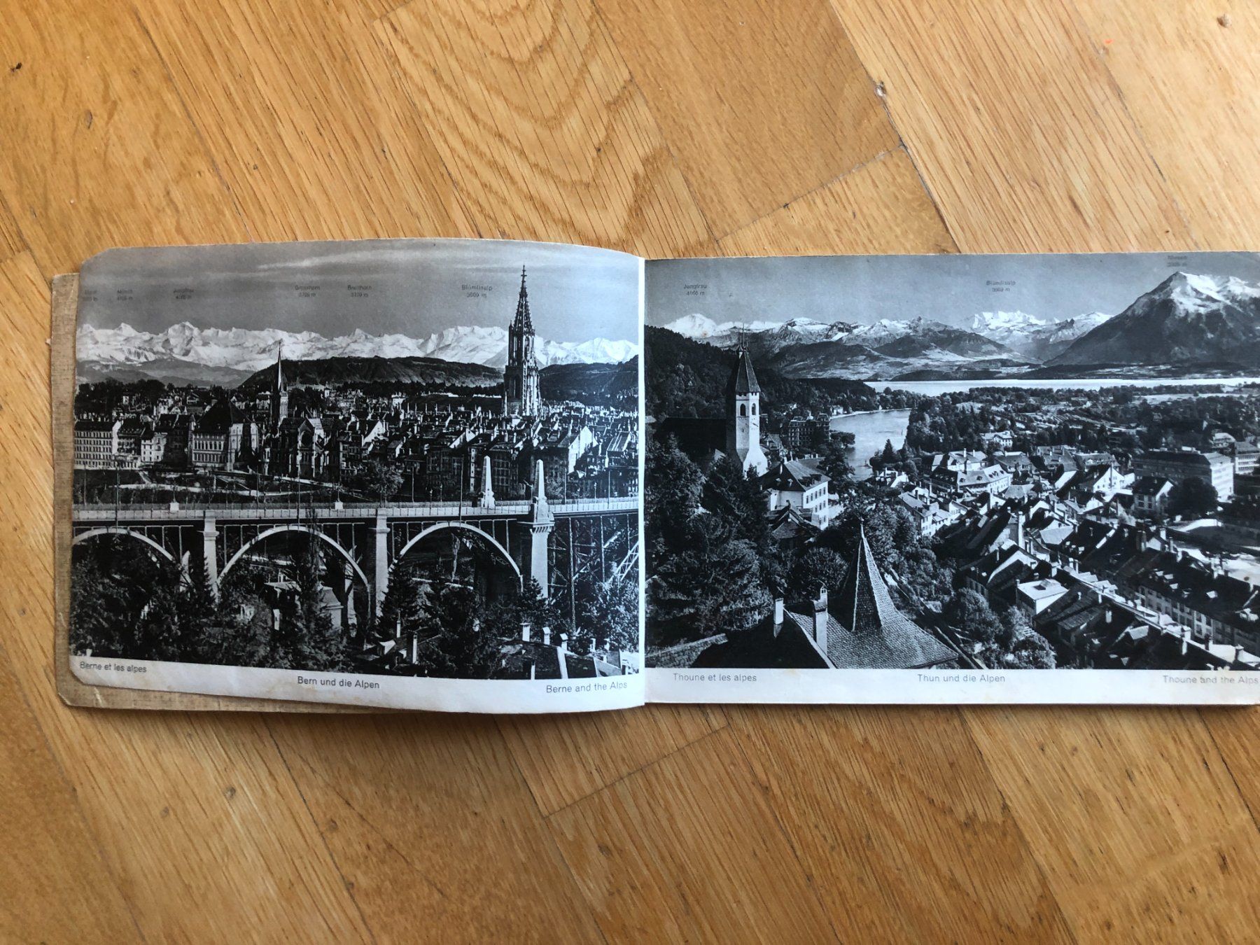 Libri: Album Interlaken Berner Oberland – Usato da Zürich venduto da allp 2