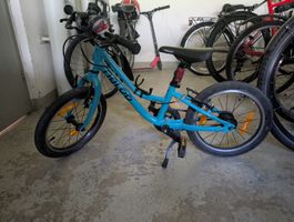 Kindervelo Naloo Chameleon 16in