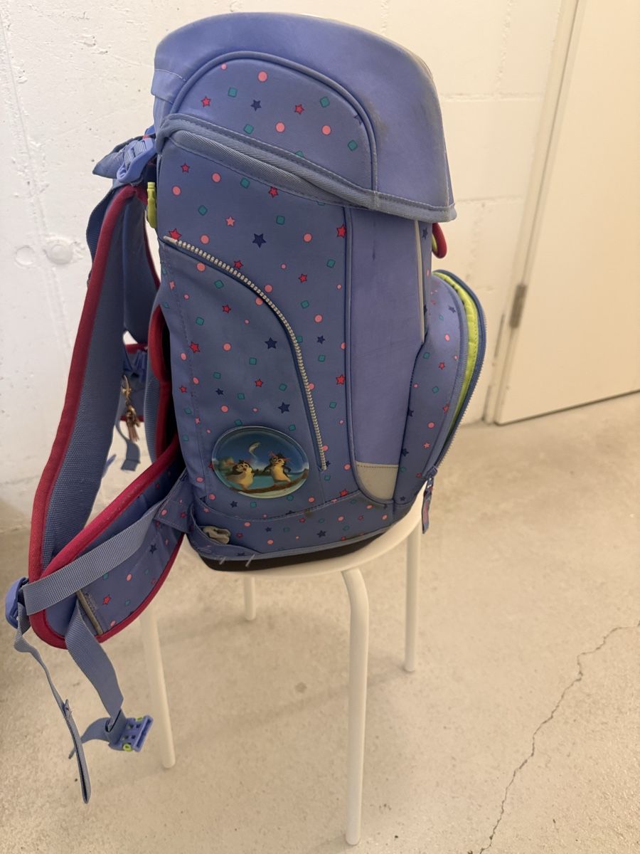 Borse & Zaini: Ergobag Schulthek inkl. zwei Etuis – Usato da Aarau venduto da son_rd99 1