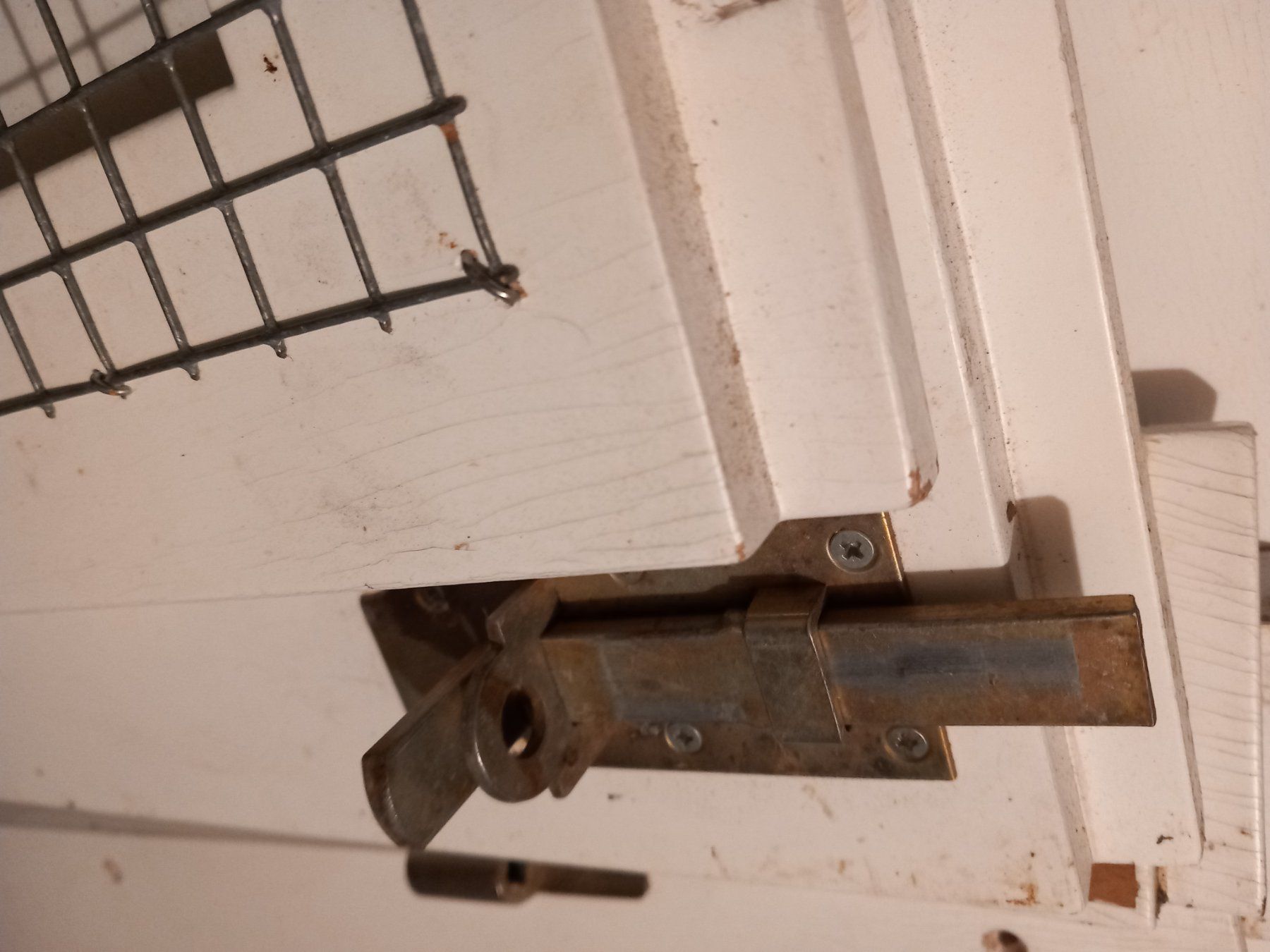 Porte: 4 Doppel Türen mit Scharnier – Usato da Wolhusen venduto da S.Bucher 2