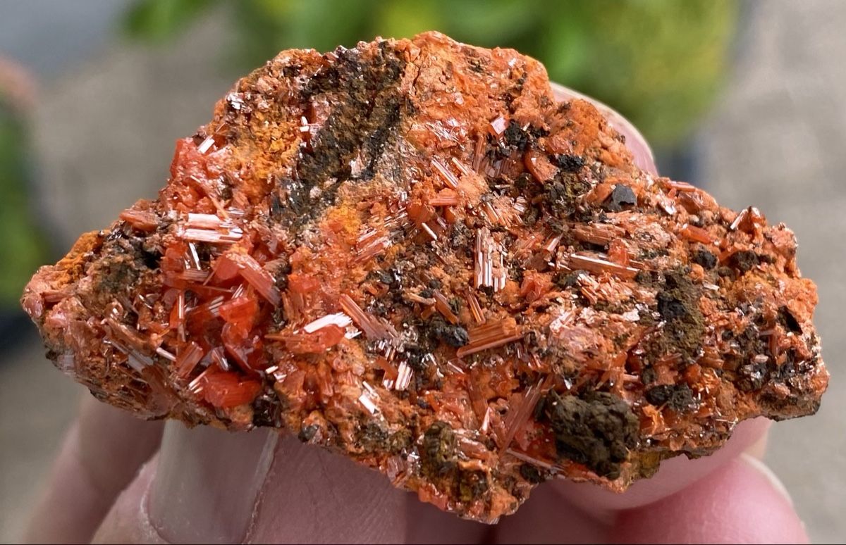Mineralien & Heilsteine: Top Stück Krokoit  – Gebraucht aus Selzach von 321compac 6