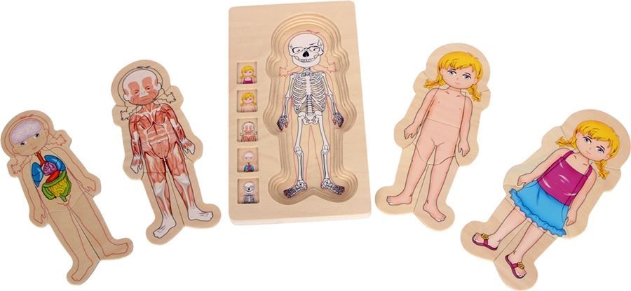 Spielzeuge: Holz- Steckpuzzle Anatomie Mädchen – Neu und originalverpackt aus Wettingen von Swala 1