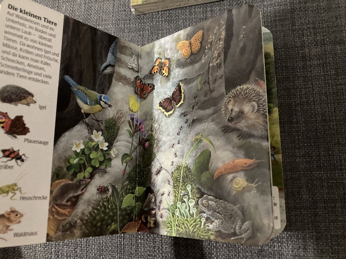 Livres: Mini Wimmelbuch Im Wald – D'occasion à Zürich par Ekka 1
