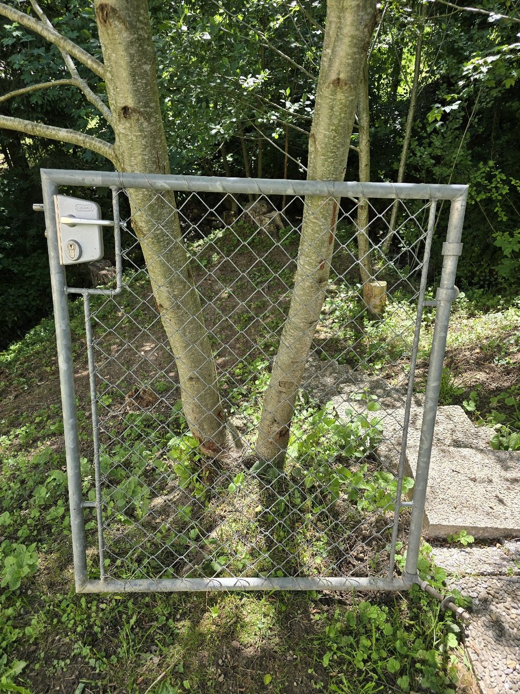 Fendivista: Gartentor mit Loginex Schloss, robust & sichere – Usato da Schönengrund venduto da XLOS