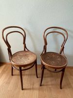 2x Horgen Glarus Bugholz Stühle