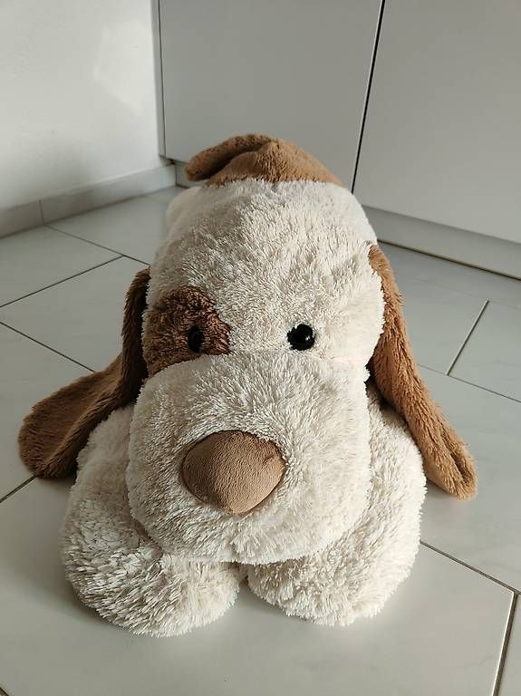 Giocattoli: Grosser Plüschhund ca. 1,20m – Usato da Kaltbrunn venduto da AliToni 1