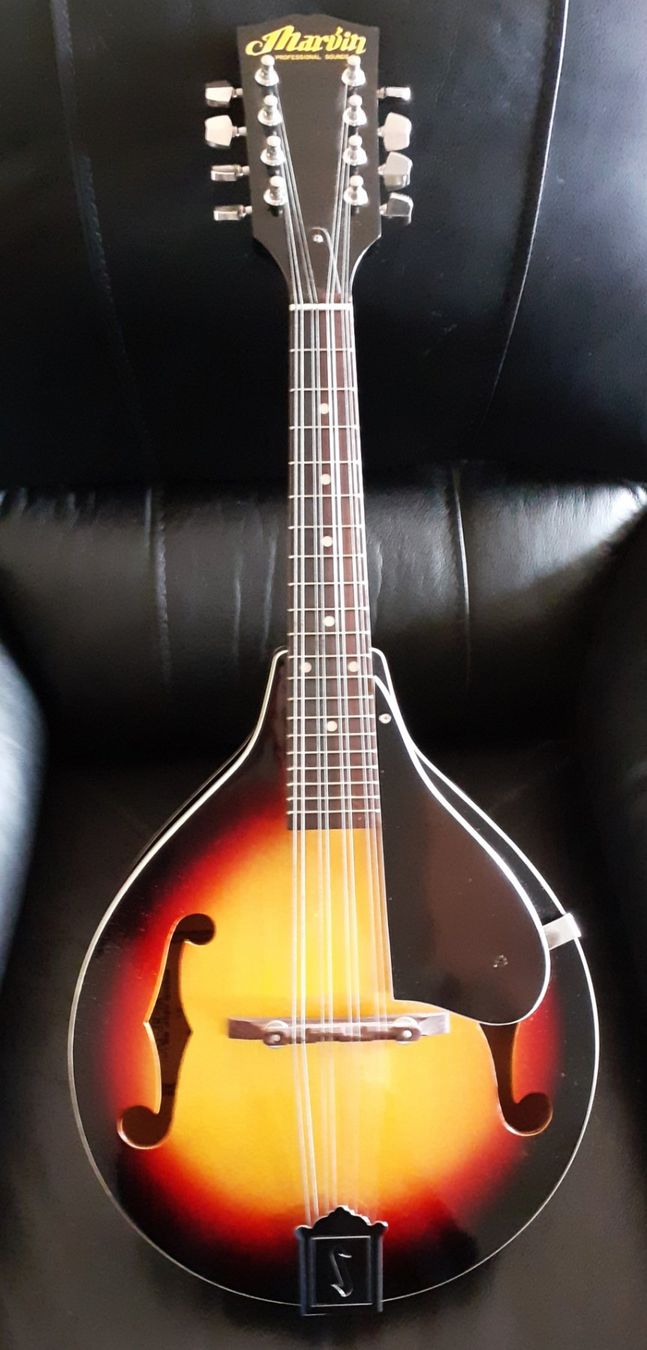 Strumenti musicali: Mandolin MARVIN BELLO   + Fodero – Usato da Locarno venduto da Antonio41 1