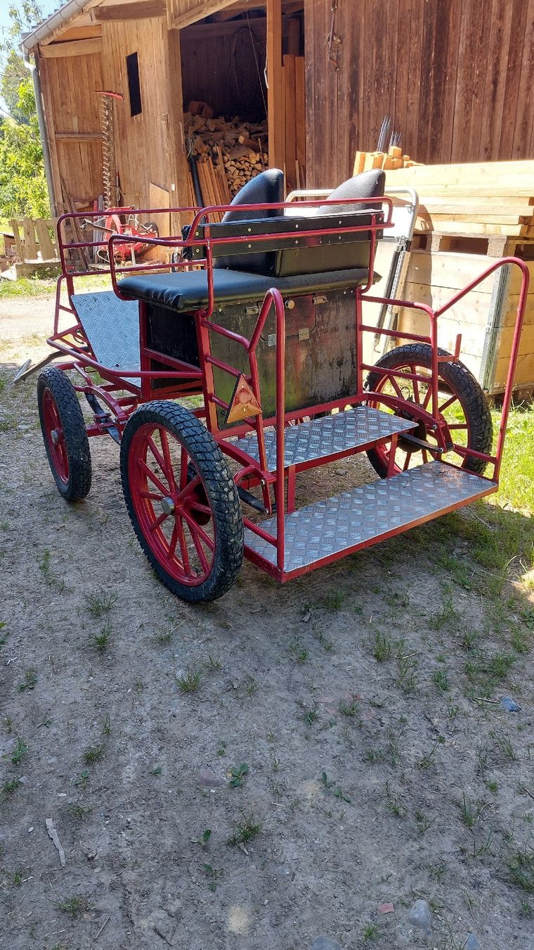 Carrozze: Kutsche Pony/Kleinpferd – Usato da Schmidigen-Mühleweg venduto da Ka22 1
