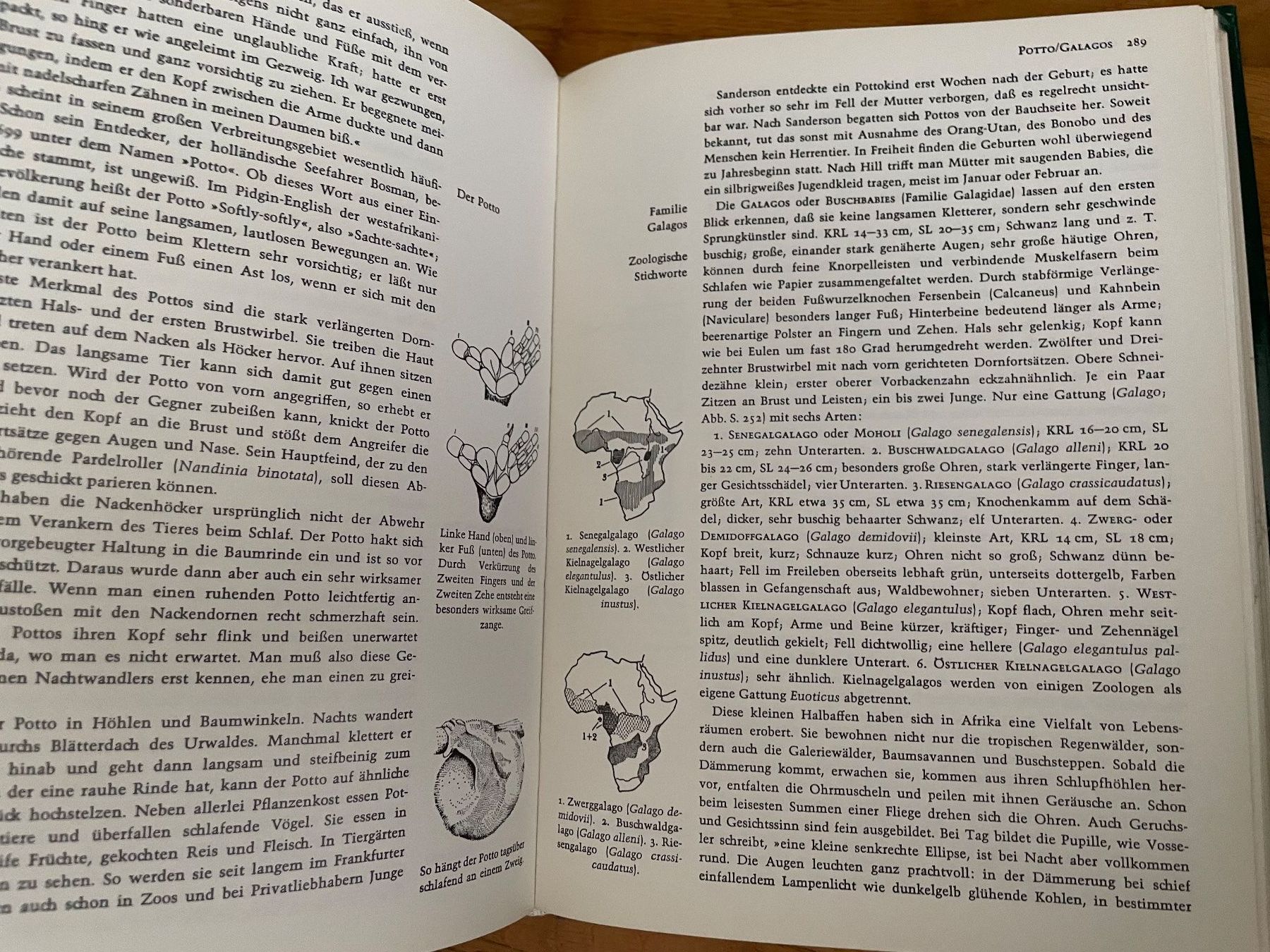 Libri: Grzimeks Tierleben - 13 Bände – Usato da zürich venduto da Sabretooth11 4