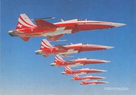 Flugzeug // Patrouille Suisse Formation Schweizer Luftwaffe
