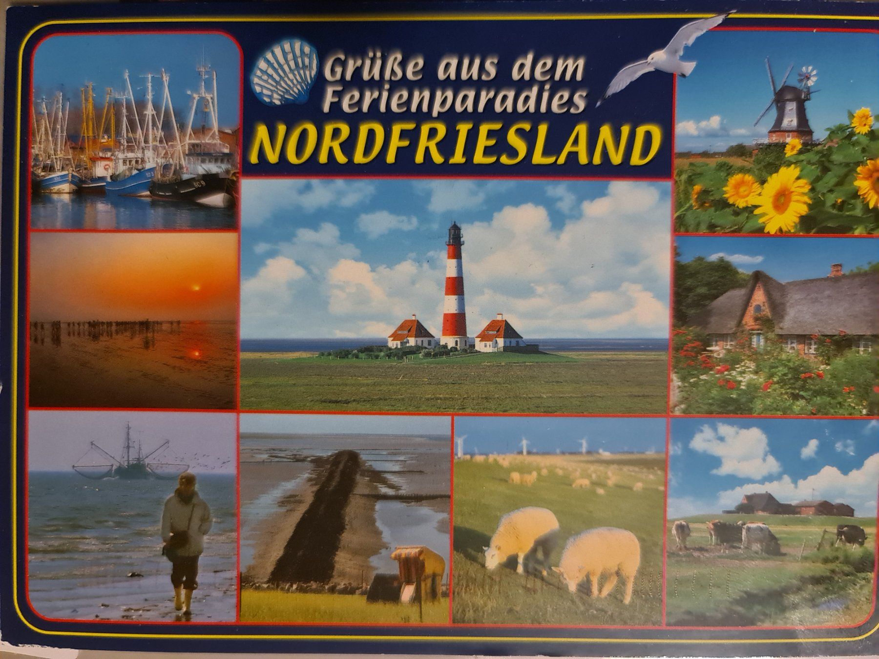 Cartoline postali: Ansichtskarte Nordfriesland – Usato da Dintikon venduto da Vexi