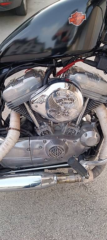 Cruisers: Harley-Davidson 883 – D'occasion à Lugnorre par joedodge33 3