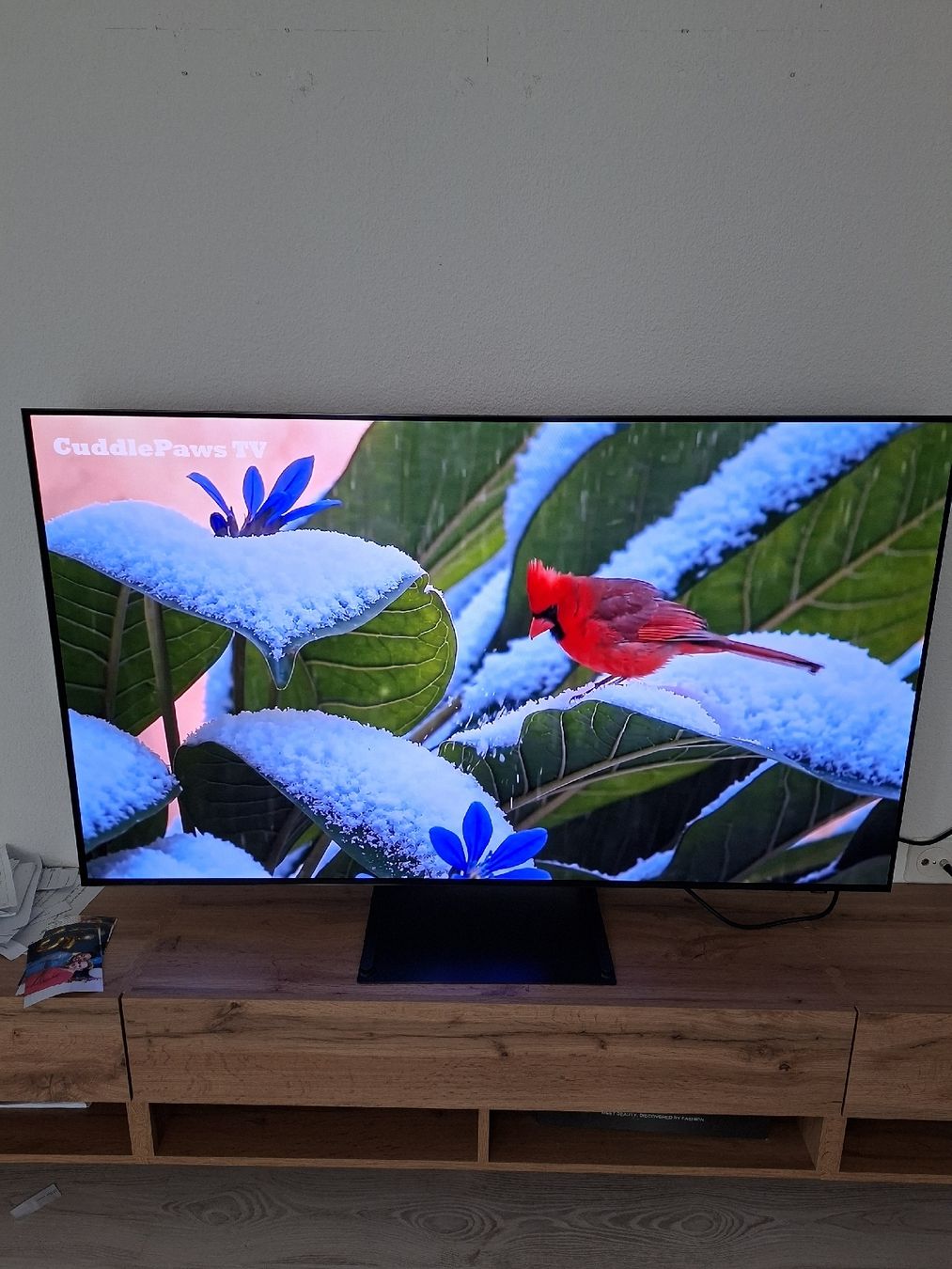Samsung Televisori: Samsung OLED 55" S90C QD-OLED  +2 Jahre,G – Nuovo (secondo la descrizione) da Rorschach venduto da men_t86c 2
