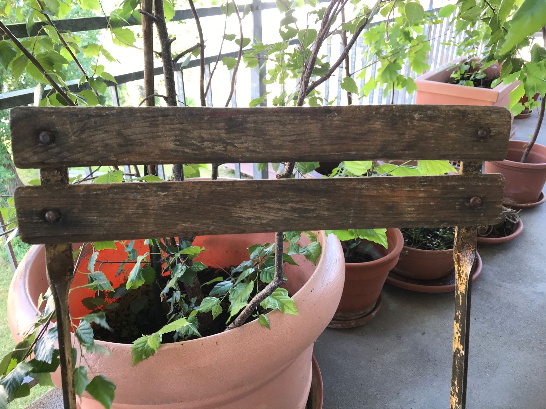 Stühle: Alter Klappstuhl – Gebraucht aus Rapperswil SG von cosiba01 3