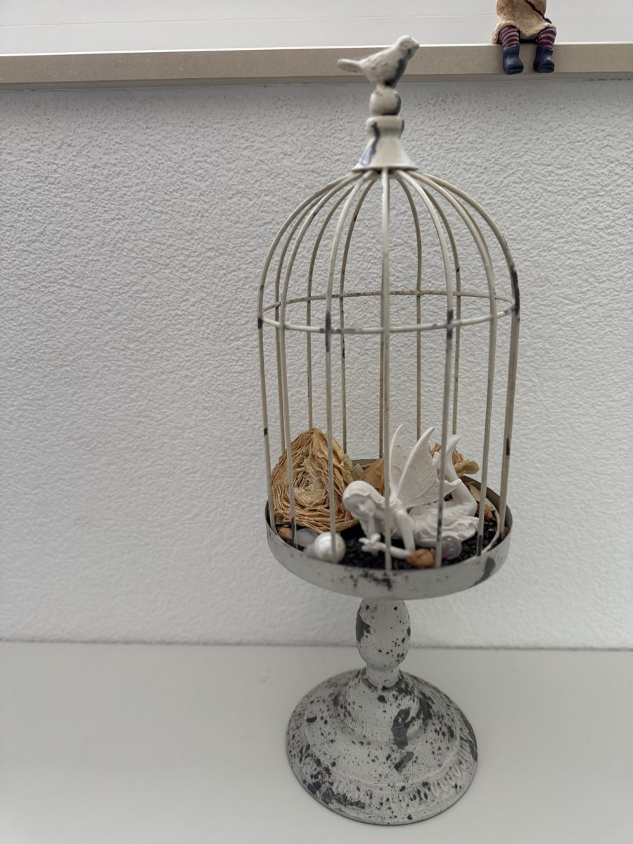 Tutte le decorazioni: Vogelkäfig ohne Deko, Metall, Shabby Chic, – Usato da Niederoenz venduto da tronchetta