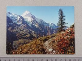 Lötschental, Bietschhorn