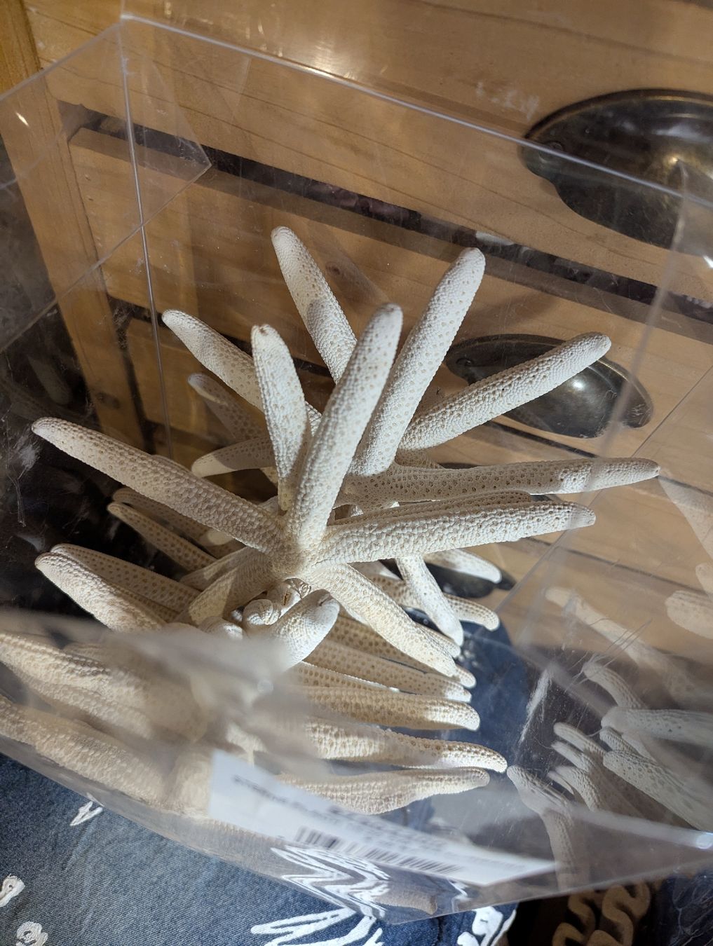 Alle Dekorationen: Seesterne naturweiss basteln – Neu und originalverpackt aus Bettlach von Costmiri 1