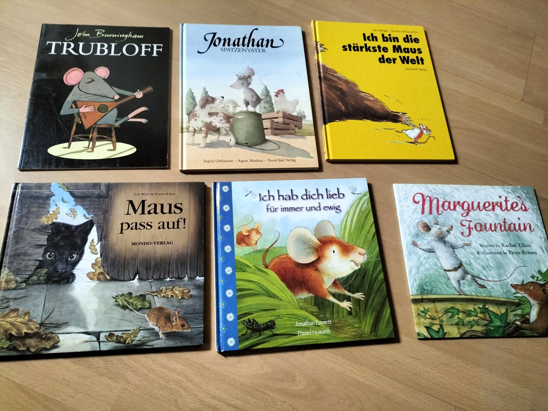 Libri: Mausgeschichten – Usato da Tegerfelden venduto da jea_f5xk