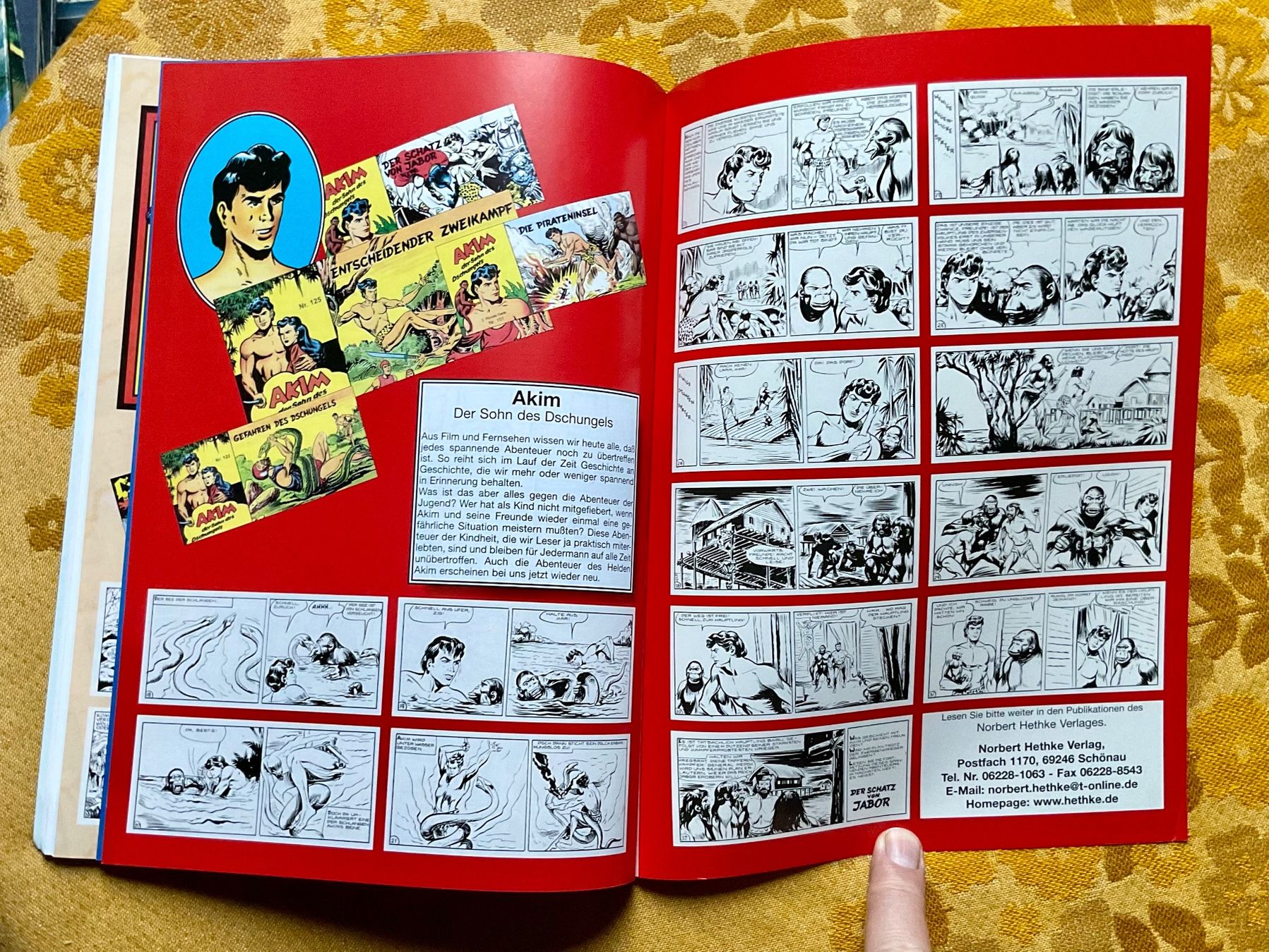 Fumetti: Illustrierte Klassiker Band Nr 2 von 2001 – Usato da Endingen venduto da nathan05 8
