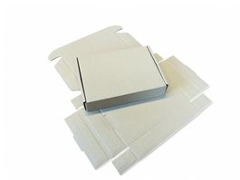 100x Faltbarer Versandkarton Post Norm WebStamp 25x17x4.7cm