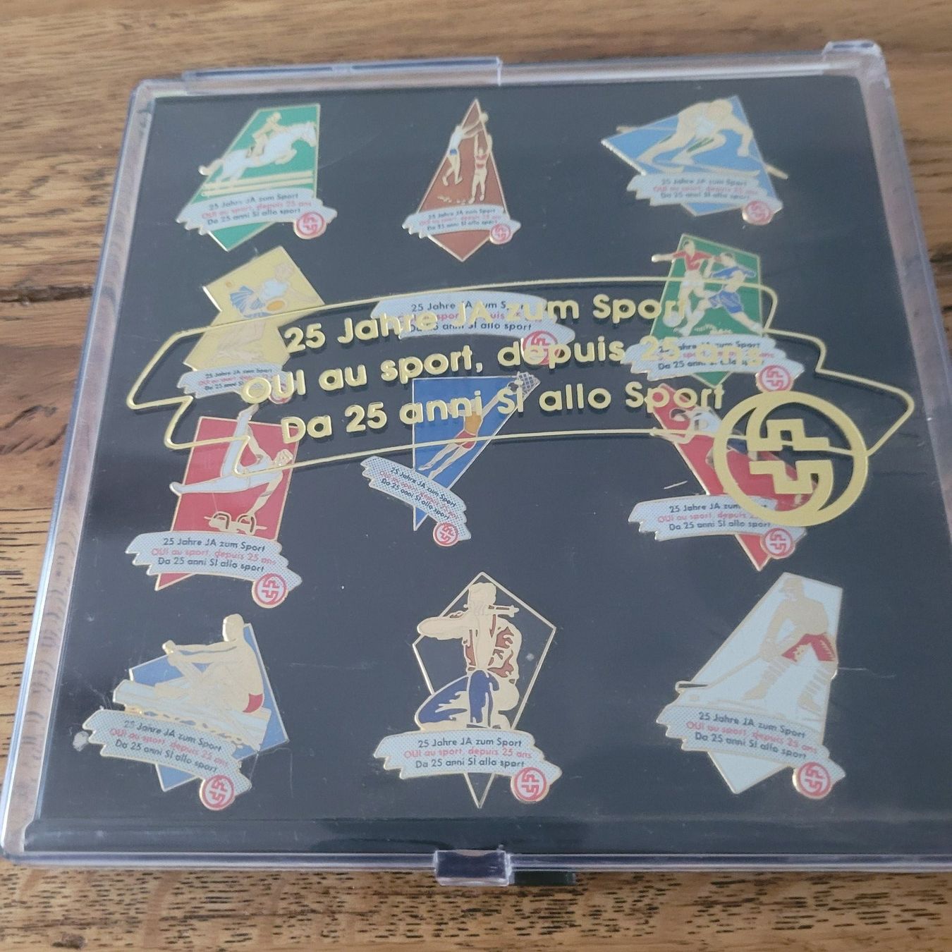 Placchette & Badge: Pins – Usato da Gossau SG venduto da Panni2000 1