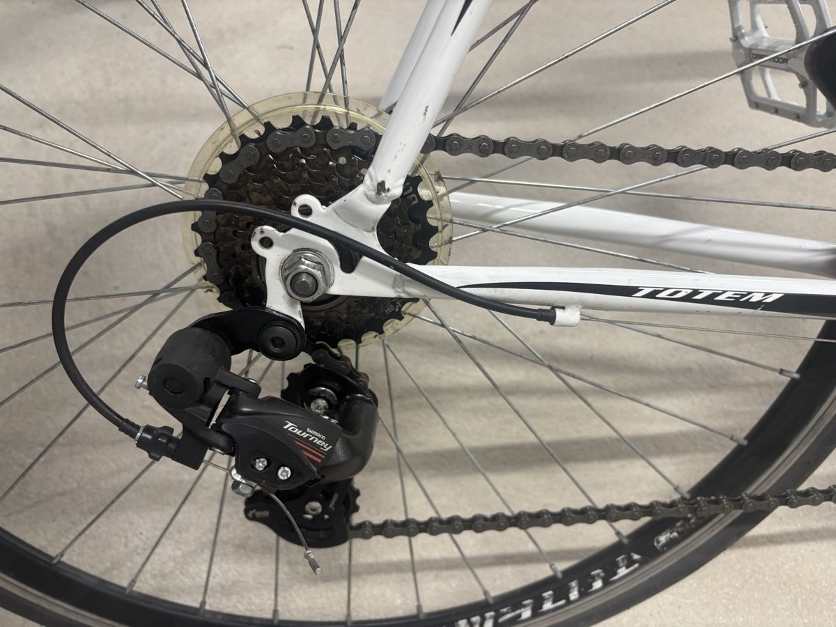 Totem Biciclette: Rennrad Totem – Usato da Appenzell venduto da MichaelSchuerpf 1