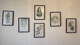 5 gerahmte Pflanzenbilder auf Leinwand
