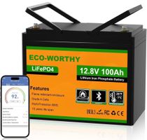Lifbo Batterie Eco Worthy 12.8V