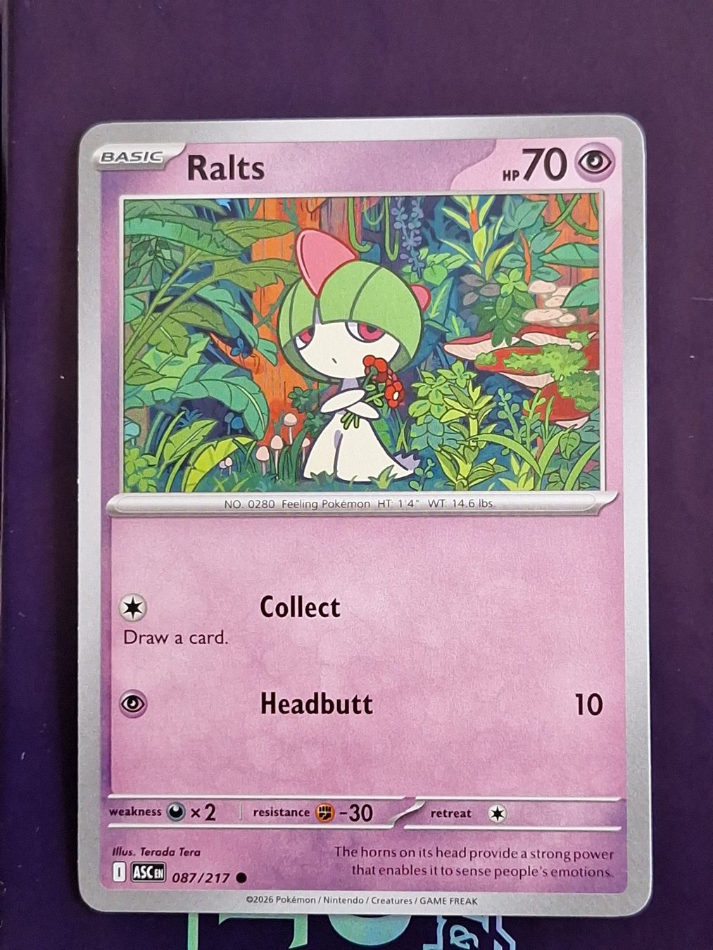 Pokémon Carte collezionabili: Ralts - Pokemon Ascended Heroes – Usato da Altstätten SG venduto da GGsGameshop
