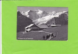 Grindelwald-First-Maultiere