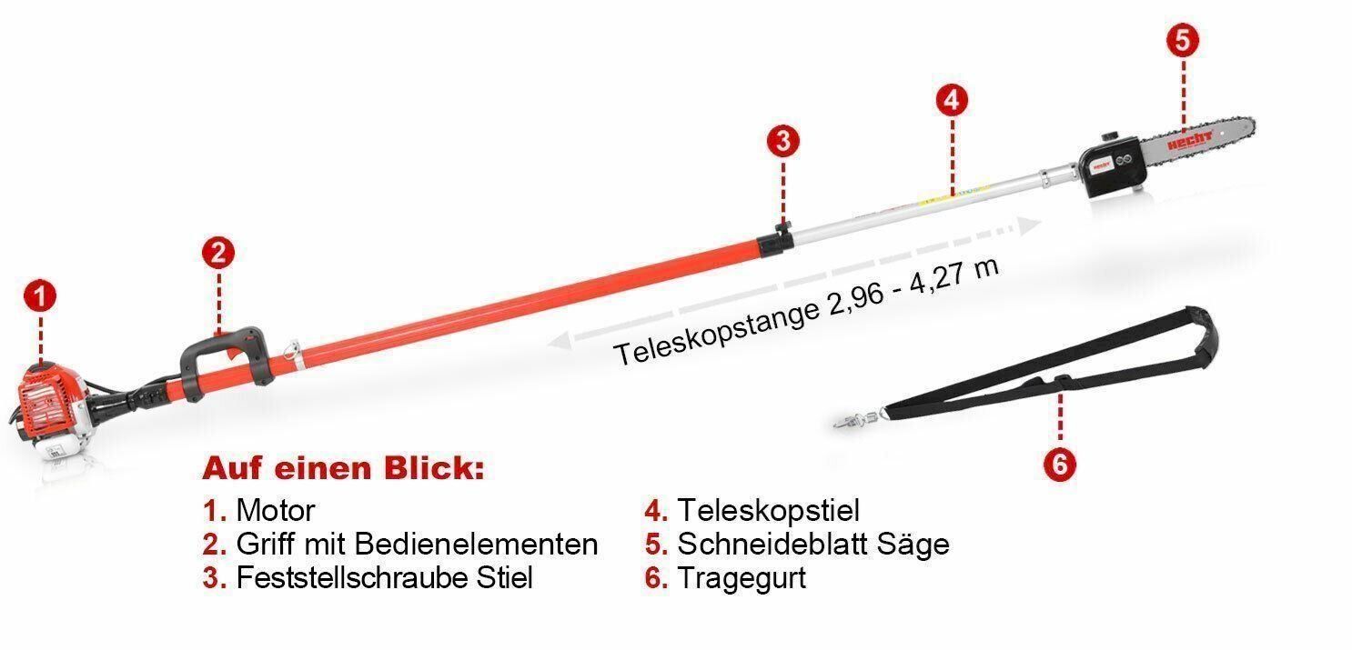 Seghe: Hecht 9260 Benzin Hochentaster – Nuovo e nell'imballaggio originale da Bottighofen venduto da zaap 1