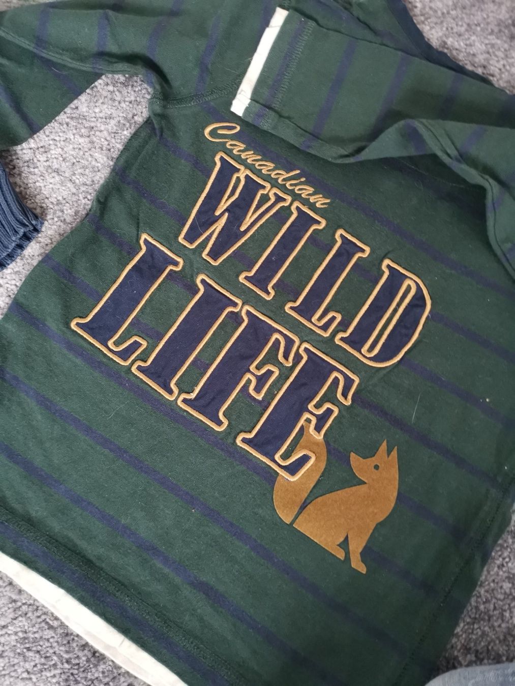 Pullover & Sweatshirts: 4 Pullover gr.116 – Gebraucht aus Unterentfelden von Panda-87 5