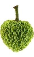 Annona Spraguei FRUIT TRES RARE 2g