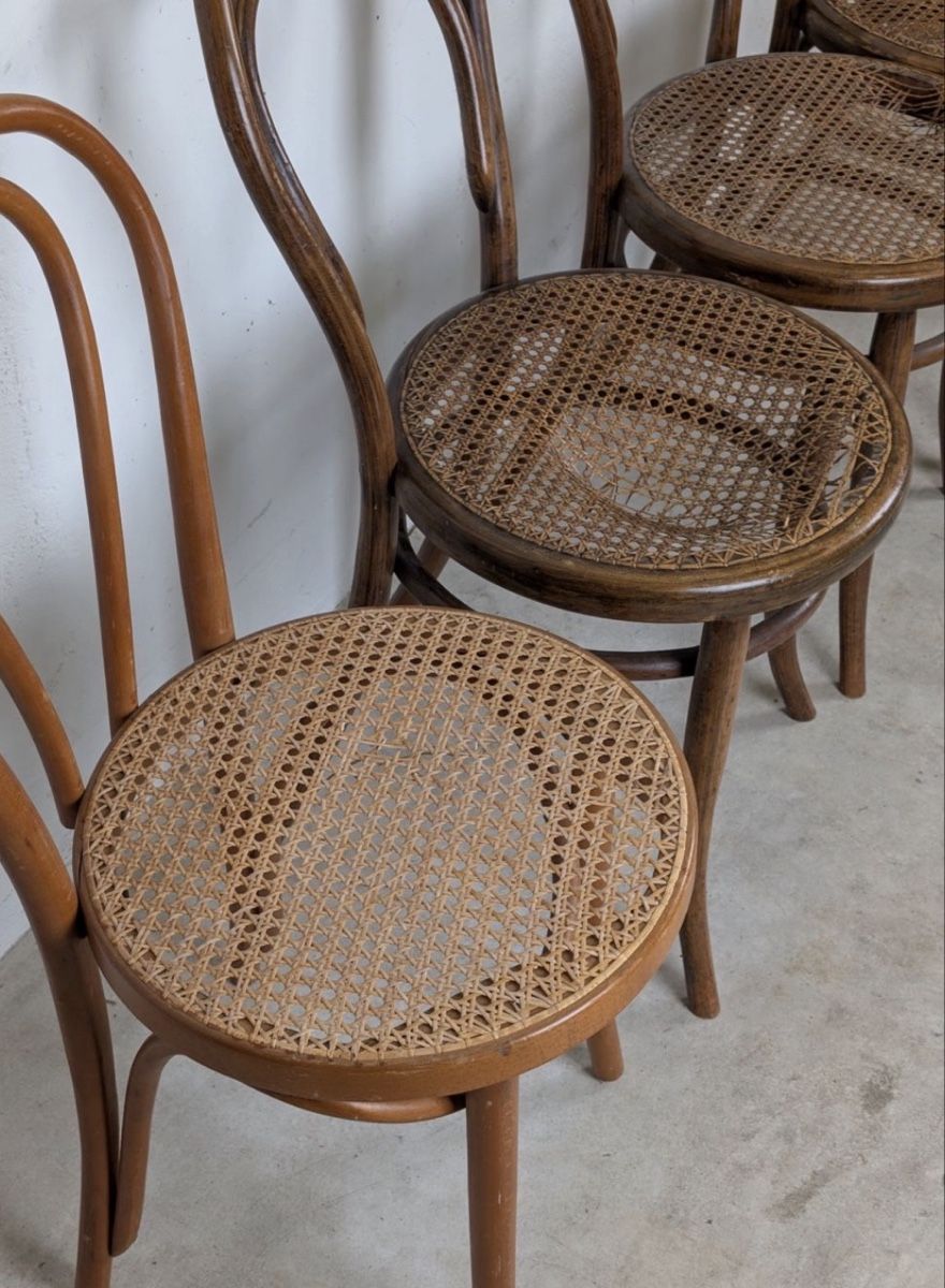 Sedie: 4 Fischer / Thonet Stühle – Usato da Zürich venduto da eggasch 2