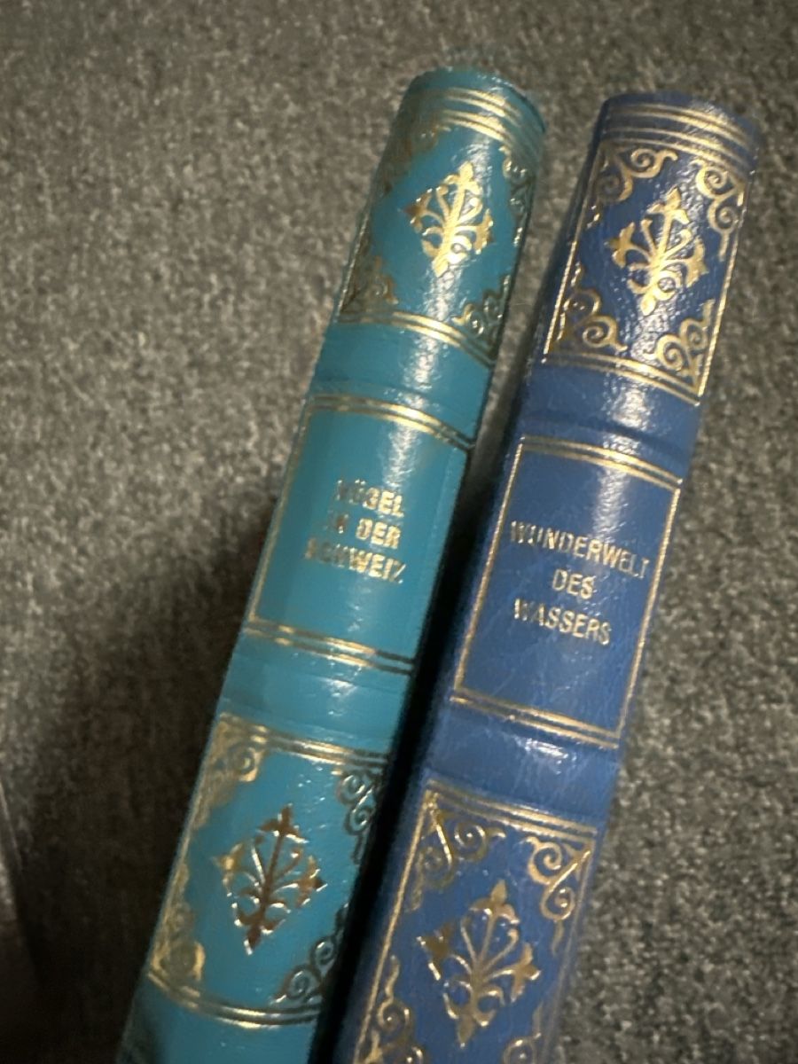 Libri: 8 Avantibücher – Usato da Baltschieder venduto da YmroBe 4