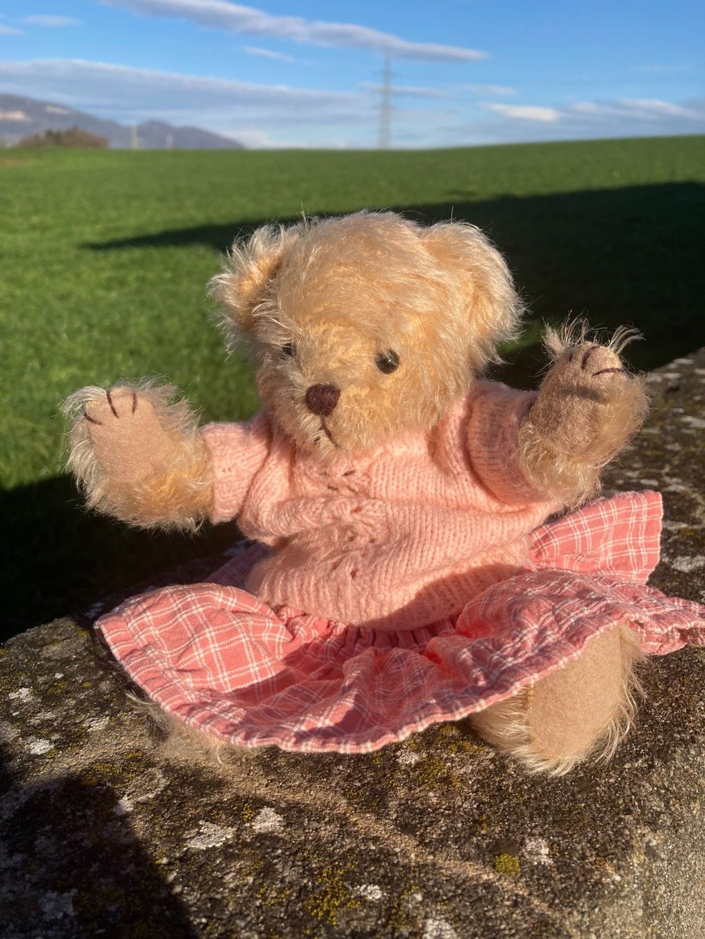 Giocattoli: Teddy Teddybär mit handgestricktem Pullover+Jupe handgenäht – Usato da Subingen venduto da Etageren 1