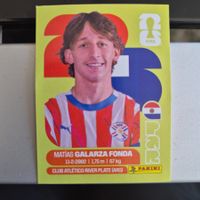 PAR 14 Panini FIFA WM 2026