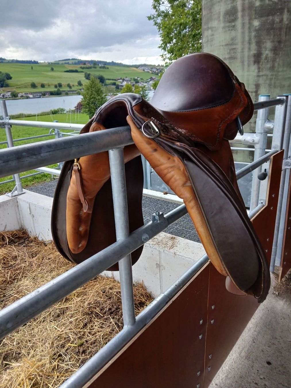 Sattel & Sattelzubehör: Sattel Althaus – Gebraucht aus Küssnacht am Rigi von saschigalka 3
