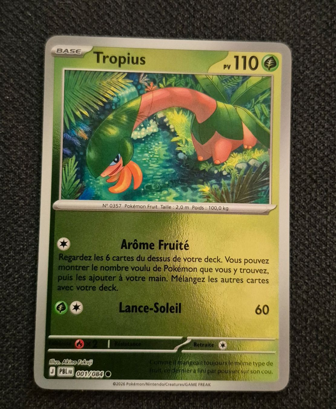 Pokémon Carte collezionabili: TROPIUS 001/084 REVERSE POKEMON NUIT NOIRE – Usato da Grand-Lancy venduto da luc111