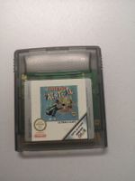 Ultimate Paintball (Game Boy Color)