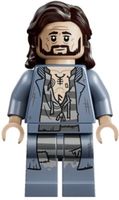 Lego Harry Potter Minifigur- Sirius Black (hp630)