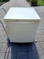 Kleiner Liebherr Gefrierschrank GX 821  70 Liter Inhalt 