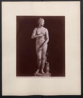 Fotografie Florenz-Firenze, Galleria Uff