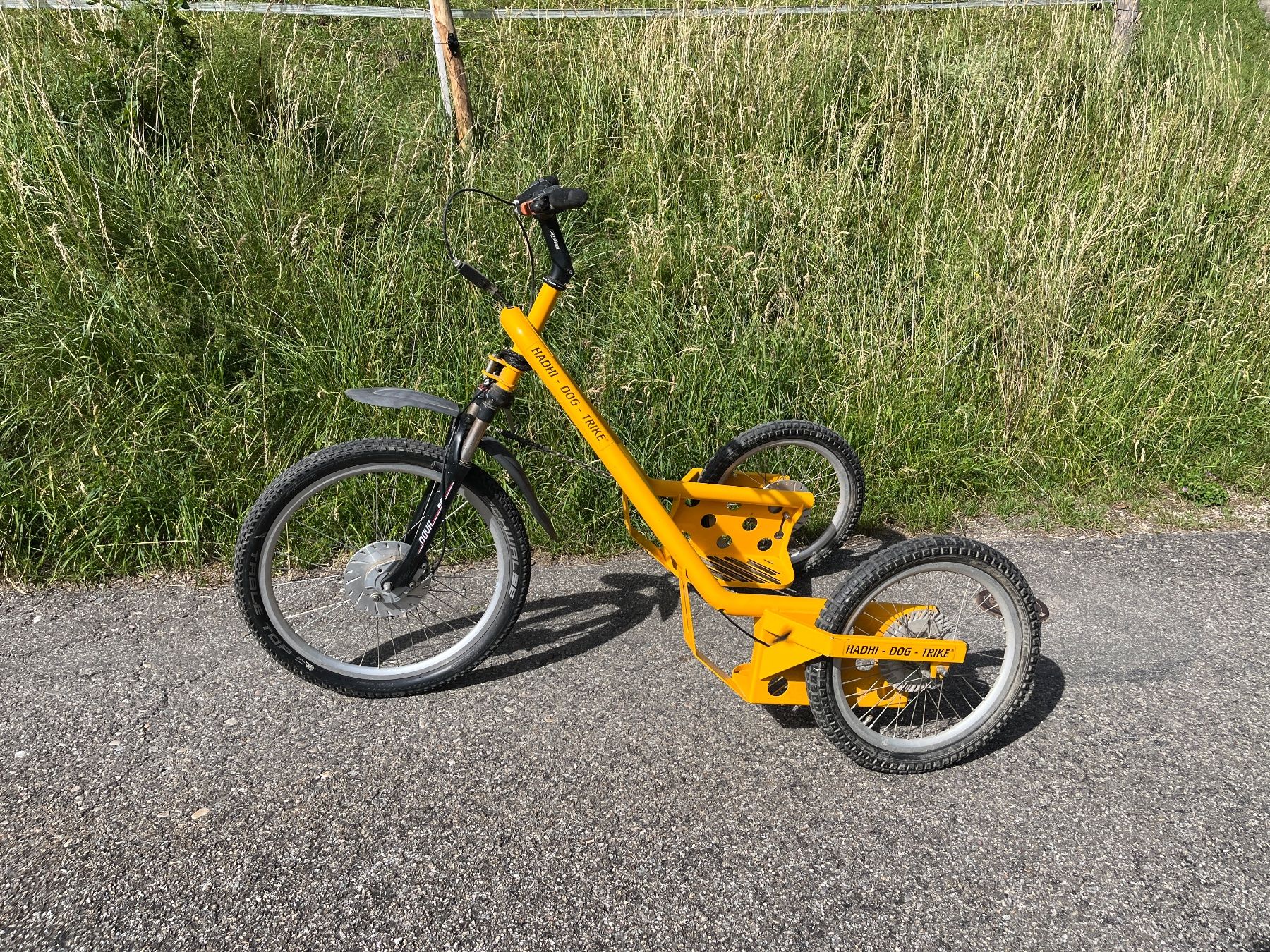 Velos: Hadhi Dog Trike – Gebraucht aus Reigoldswil von tan_wh69