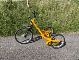 Hadhi Dog Trike