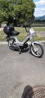 Tomos Quadro E-Starter mit Revidiertem Motor